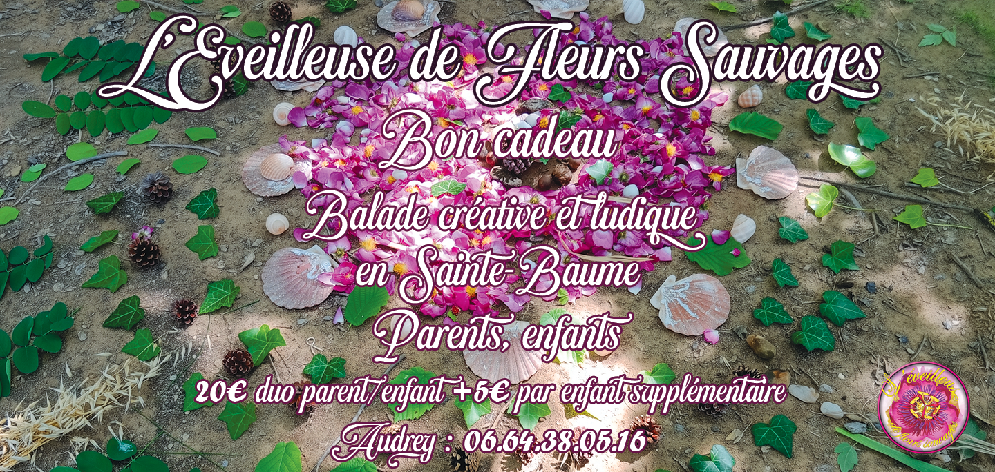 Bon cadeau Balade Ludique